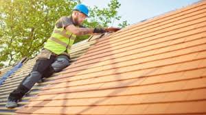Best Roof Maintenance and Cleaning  in Griffith, IN
